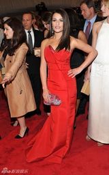 组图：美国时装学院庆典举行 众明星红毯竞艳