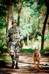 组图：杨烁《神犬奇兵》热播 汪爸萌犬沙漠野战