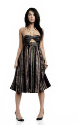 幻灯图集：梅根-福克斯2009年性感写真集锦