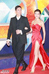 组图：陈豪携女友亮相红毯 陈茵媺红裙惹火秀美腿