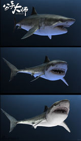 组图：《分手大师》发特辑 成功背后有艰辛