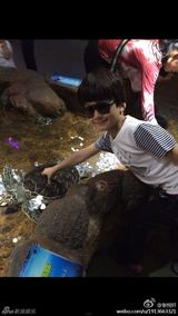 组图：天天戴墨镜超模范儿 与动物亲密接触