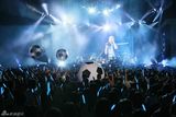 组图:Japan Night国立公演彩虹Perfume嗨爆全场