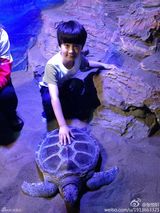 组图：天天戴墨镜超模范儿 与动物亲密接触