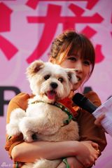 组图：主持悦悦为小狗路路寻家 领养代替买卖