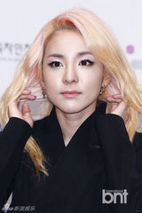 组图：2NE1出席KBEE2013宣传大使委任仪式