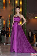 组图：TVB2014巡礼全员出动 女星竞艳旧爱相逢