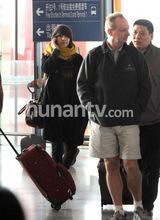 组图：高圆圆包裹严实现身机场