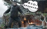 组图：《猩球崛起》公映 网友掀起恶搞热潮
