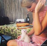 组图：泰勒-斯威夫特带喵星人出街 小猫眼神淡定萌翻