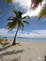 组图：安以轩清凉装展玲珑曲线 阳光下面庞精致