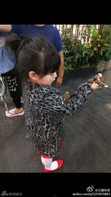 组图：李湘玩嗨韩国动物园 石头妹妹俏皮可爱
