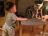 组图：姚晨儿子小土豆帅萌出镜 爱猫变身喵保姆