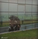 组图：复联2片场照遭泄 雷神美队钢铁侠并肩