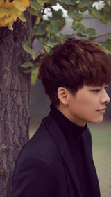 手机壁纸：百变李易峰