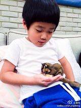 组图：姐姐和Joe喂食松鼠 萌系暖娃融化网友