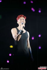 组图：张智霖开唱裸身美女环伺 袁咏仪领衔助威