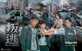策划：盘点港产卧底角色 《使徒行者》正邪难辨