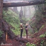 组图：泰勒-斯威夫特与超模好友同居 长腿组合超有爱！