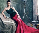 组图：陈数轻熟风冷艳写真 半透视装美背隐现