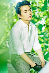 组图：陈晓【演员】白色衬衫阳光帅气 绿植环绕清爽一夏