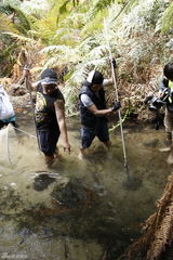 组图：爸爸2新西兰野趣十足 姐姐帮曹格抓鳗鱼