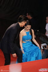 群星亮相金曲奖红毯 蔡依林美腿梁静茹性感(图)