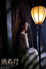 组图：《绣春刀》刘诗诗再现“经典美人图”