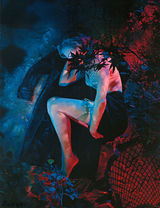 组图：内衣吊带袜出镜 妮可大片与男模旷野缠绵