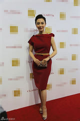 组图：陈数出席美肤活动 红裙摇曳明艳动人