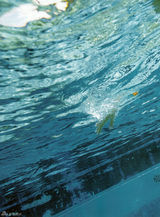 组图：NMB48成员泳池边湿身 玩制服诱惑露底裤