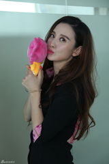 组图：吴秀波姚晨张萌贾春晖《离婚律师》做客新浪