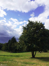 组图：许巍英国音乐之旅 part3 惬意自在享生活