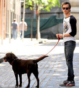 组图：海瑟薇与老公遛狗 短发显清新俏丽