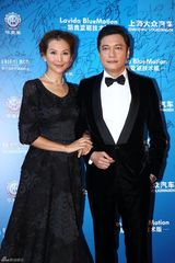 组图：电视华鼎奖红毯 郑爽仙气佟丽娅美艳