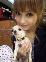 幻灯图集：日本人气美女佐佐木希生活照集锦