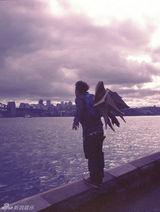 高清组图：电影《全球热恋》曝幕后花絮图集