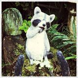 组图：许巍英国音乐之旅 part2 惬意自在享生活