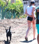 组图：暮光女克里斯汀-斯图尔特超短热裤携友度假 粉嫩屁股蛋见人