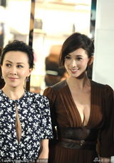 组图：女神出没！高圆圆林志玲米兰达同场争艳