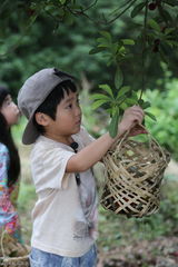 组图：多多贝儿集市风波显情深 复古运动会欢乐