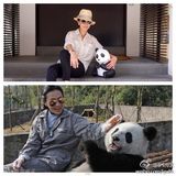 组图：千只纸熊猫空降香港 众星卖萌合影倡环保