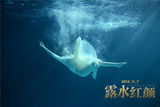 组图：《露水红颜》高希希霸气承包重头戏