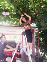 组图：柳岩清新淡妆爬梯摘葡萄 豹纹T恤小性感