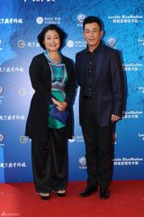 组图：电视华鼎奖红毯 郑爽仙气佟丽娅美艳