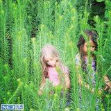 组图：大眼萝莉姐妹走红 写真妈妈掌镜精致如画