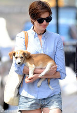 组图：海瑟薇与老公遛狗 短发显清新俏丽