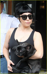 组图：LadyGaga抱狗晒事业线 手臂内侧添新纹身