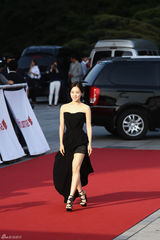 独家高清：又是一年百想红毯 众星云集争奇斗艳