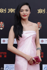 组图：华谊二十周年庆典红毯 刘德华等众星助阵